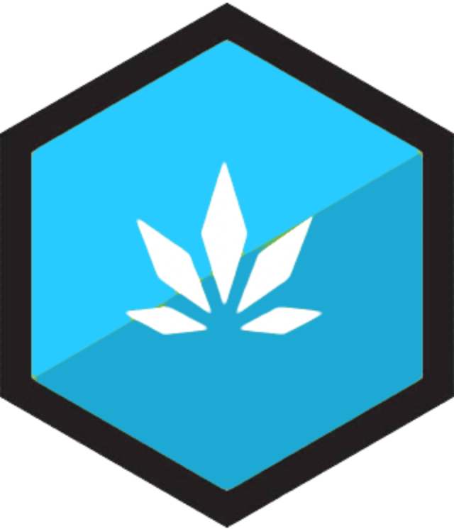 Website Logo