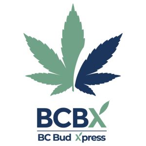 Logo for BCBX