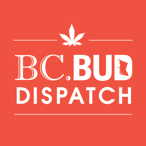 BCBudDispatch logo