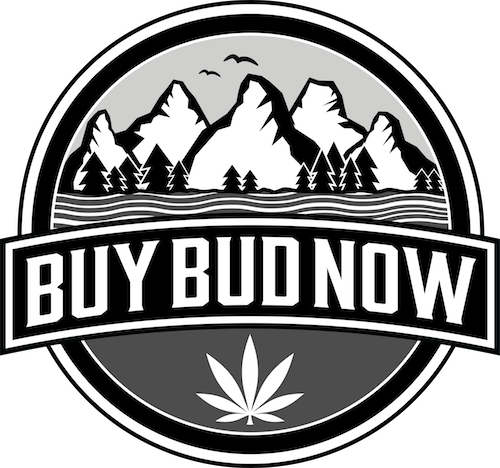 BuyBudNow Logo