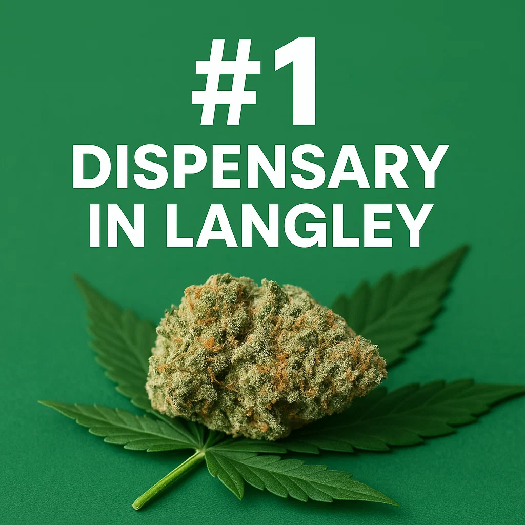 The #1 Dispensary in Langley