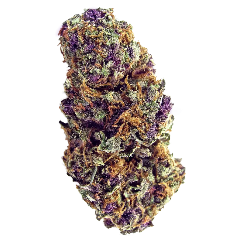 Purple Palm Tree Delight