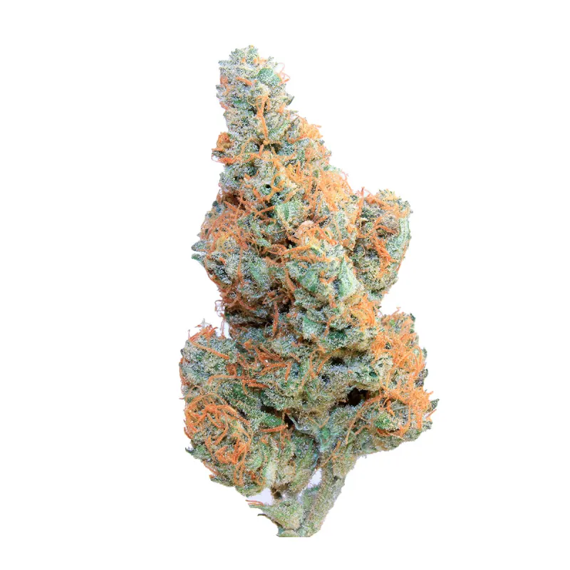 Sweet Mandarine Zkittlez XL Auto