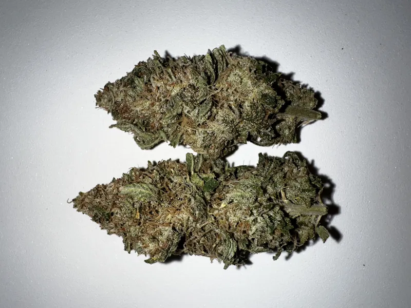 Taylor Ham and Cheese